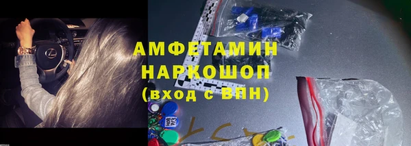 МДПВ Бородино