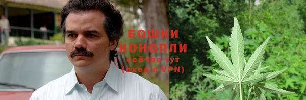 молекула духа Бугульма