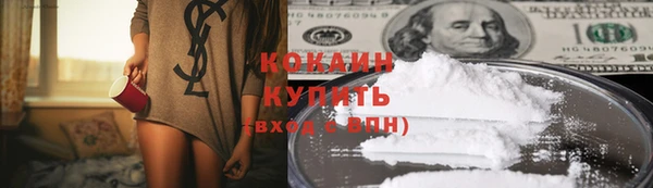 МДПВ Бородино