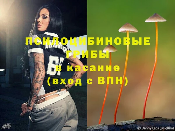 МДПВ Бородино