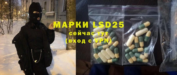МДПВ Бородино