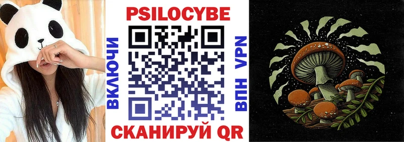 Псилоцибиновые грибы GOLDEN TEACHER  наркотики  Грязовец 